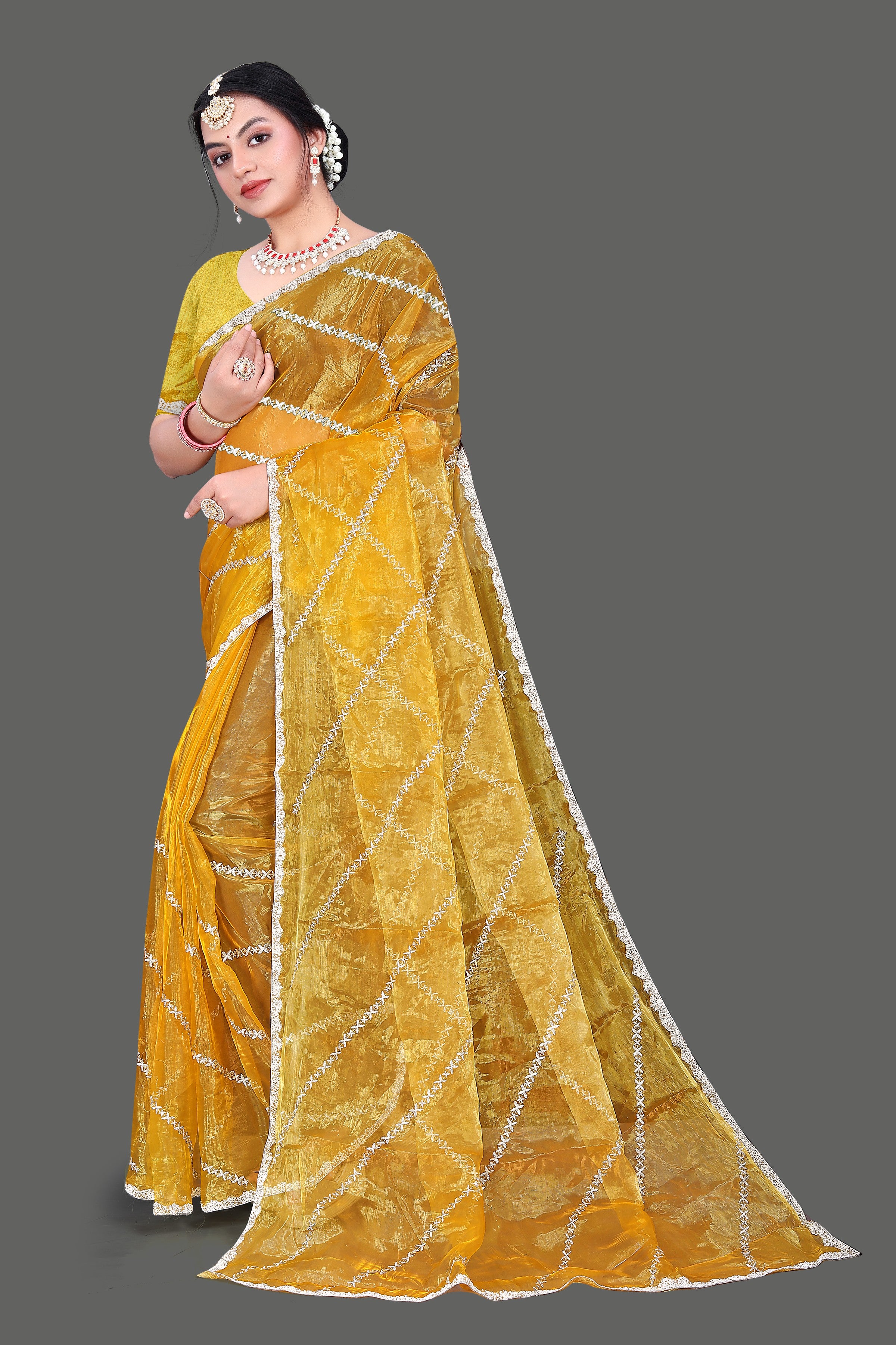 Tissue Silk Saree | Embroidery Work | Lace, Beads & Moti Work